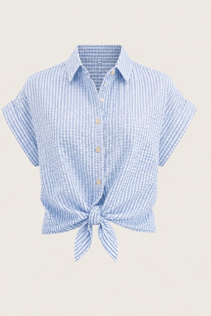 Blue Spring Checkered Shirt
